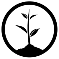 Today we planted 124 trees in the Amazon